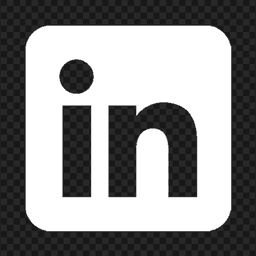 LinkedIn professional network icon